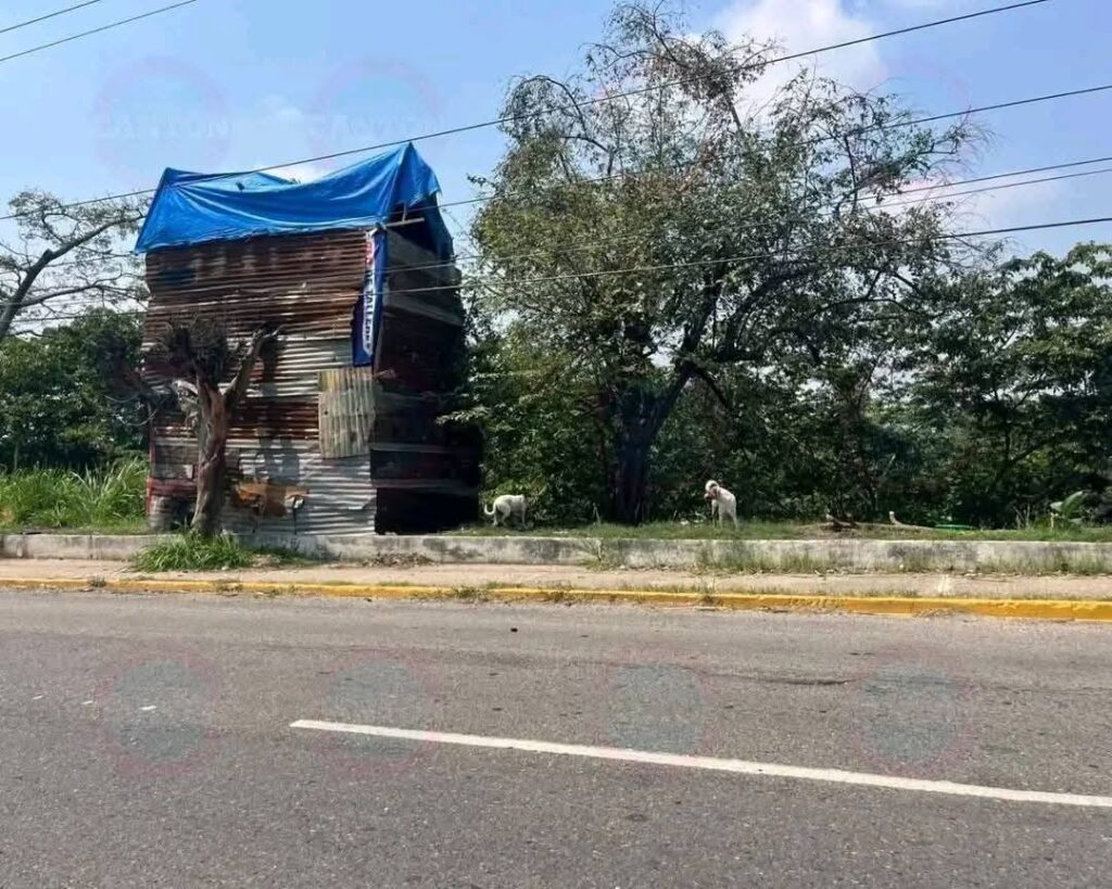 En el periférico de Villahermosa, Un migrante originario de Belice ha llamado la atención en Villahermosa, tras construir una peculiar vivienda de lámina de dos pisos, sostenida en un árbol.
El hombre, identificado como Uriel, detalló que la estructura fue elaborada con materiales reciclados y pensada para habitarla junto a su esposa y sus dos mascotas.
La inusual construcción ha generado diversas reacciones entre transeúntes y automovilistas que circulan por la zona. Mientras algunos destacan su ingenio y capacidad de adaptación, otros expresan preocupación por las condiciones de vulnerabilidad en las que vive y las dificultades que enfrentan muchos migrantes en su intento por mejorar su calidad de vida al llegar a México.