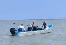 Refuerzan acciones para el crecimiento sostenible del ostión en Aldama Refuerzan acciones para el crecimiento sostenible del ostión en Aldama