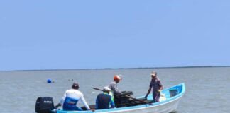 Refuerzan acciones para el crecimiento sostenible del ostión en Aldama Refuerzan acciones para el crecimiento sostenible del ostión en Aldama