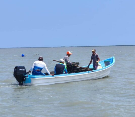 Refuerzan acciones para el crecimiento sostenible del ostión en Aldama Refuerzan acciones para el crecimiento sostenible del ostión en Aldama